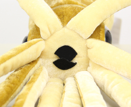 カロラータ ダイオウイカ ぬいぐるみ カロラータ ダイオウイカ ぬいぐるみ